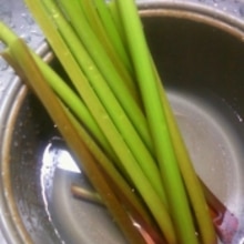 甘くて美味しい ルバーブジュース レシピ 作り方 By こあくま527 楽天レシピ 甘くて美味しい ルバーブジュース レシピ 作り方 By こあくま527 楽天レシピ